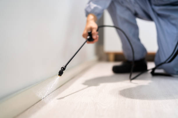 Licensed Fumigation Services service in Wheeler, TX - Nex Pest Control